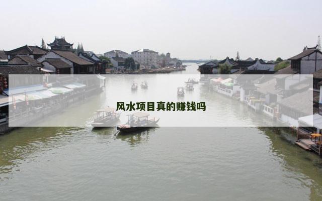 风水项目真的赚钱吗