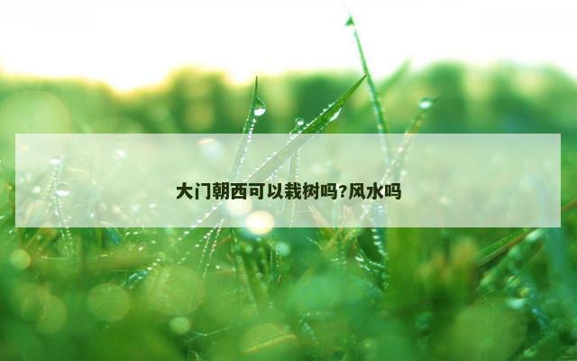 大门朝西可以栽树吗?风水吗