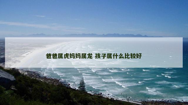 爸爸属虎妈妈属龙 孩子属什么比较好