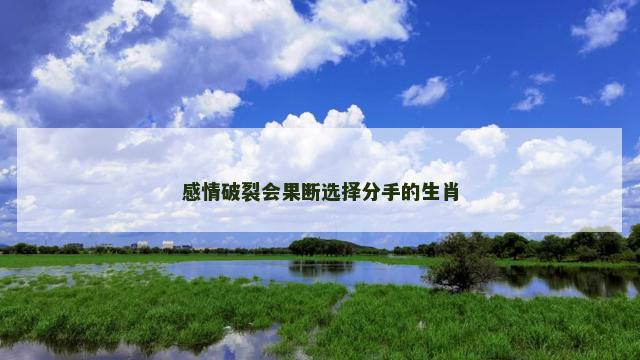 感情破裂会果断选择分手的生肖