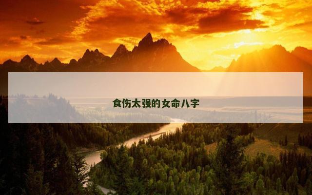 食伤太强的女命八字