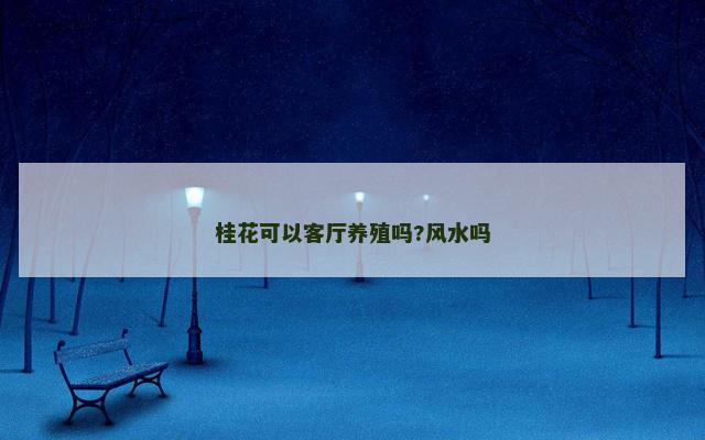桂花可以客厅养殖吗?风水吗