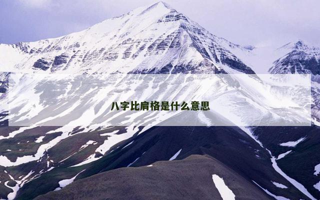 八字比肩格是什么意思