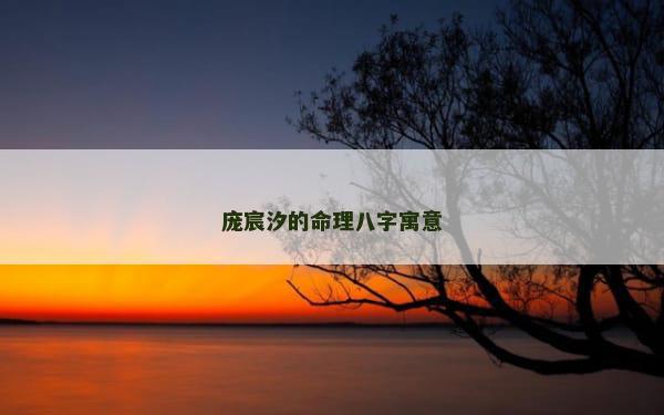 庞宸汐的命理八字寓意