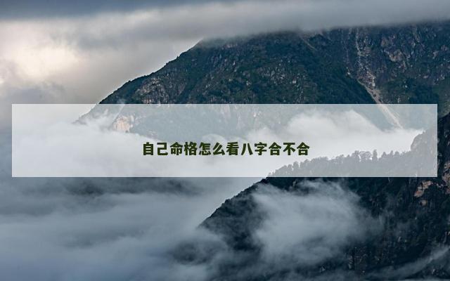 自己命格怎么看八字合不合
