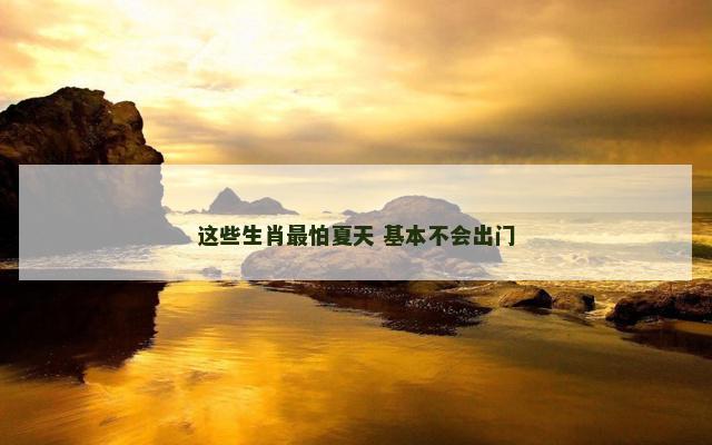 这些生肖最怕夏天 基本不会出门