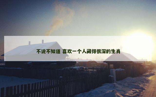 不说不知道 喜欢一个人藏得很深的生肖