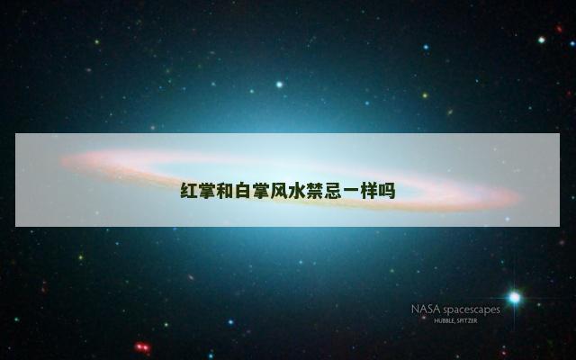 红掌和白掌风水禁忌一样吗