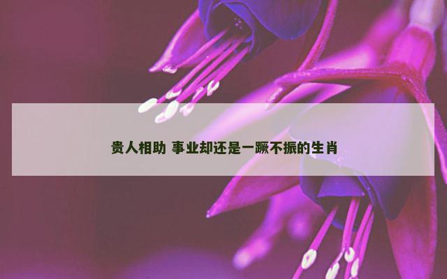 贵人相助 事业却还是一蹶不振的生肖