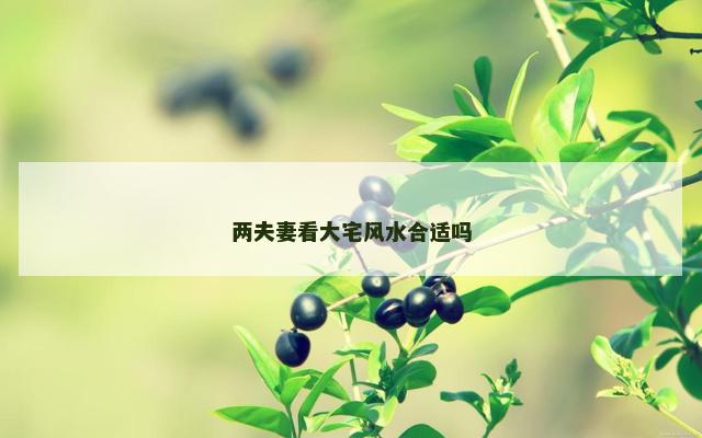 两夫妻看大宅风水合适吗