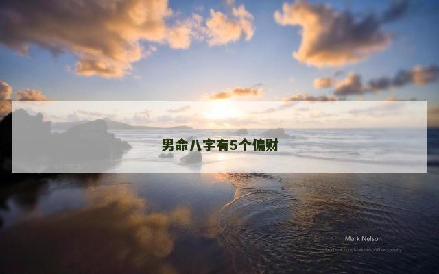 男命八字有5个偏财