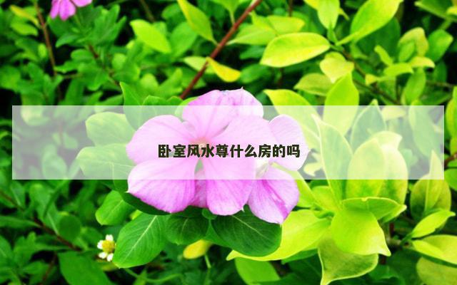卧室风水尊什么房的吗