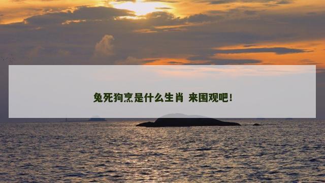 兔死狗烹是什么生肖 来围观吧！