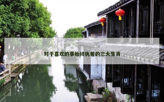 对于喜欢的事始终执着的三大生肖