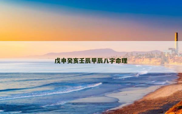 戊申癸亥壬辰甲辰八字命理