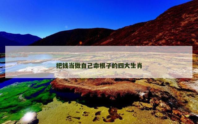 把钱当做自己命根子的四大生肖