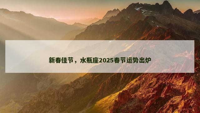 新春佳节，水瓶座2025春节运势出炉
