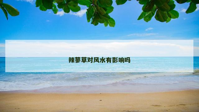 辣蓼草对风水有影响吗