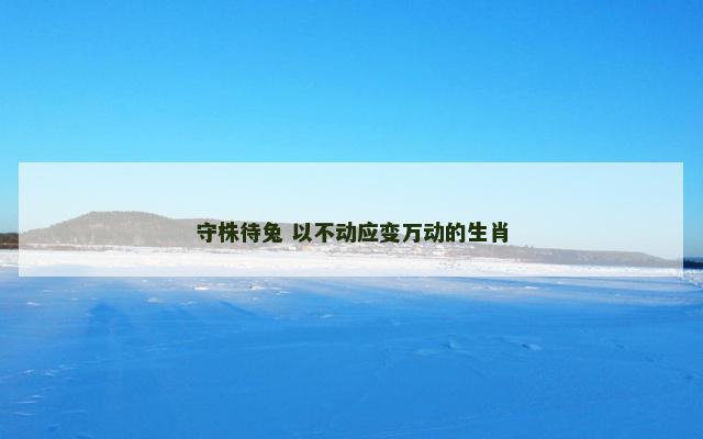 守株待兔 以不动应变万动的生肖