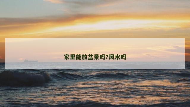 家里能放盆景吗?风水吗