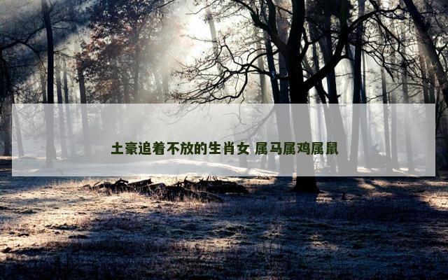 土豪追着不放的生肖女 属马属鸡属鼠