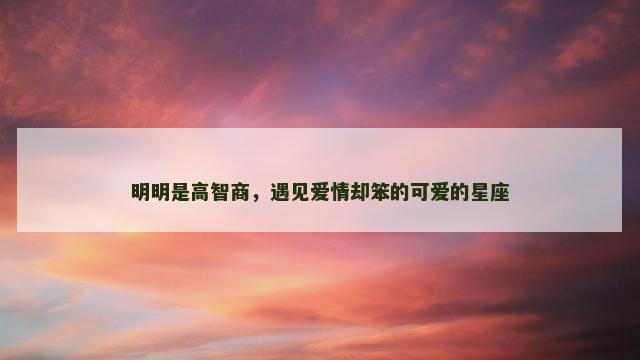 明明是高智商，遇见爱情却笨的可爱的星座