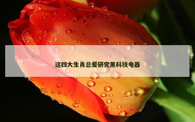 这四大生肖总爱研究黑科技电器