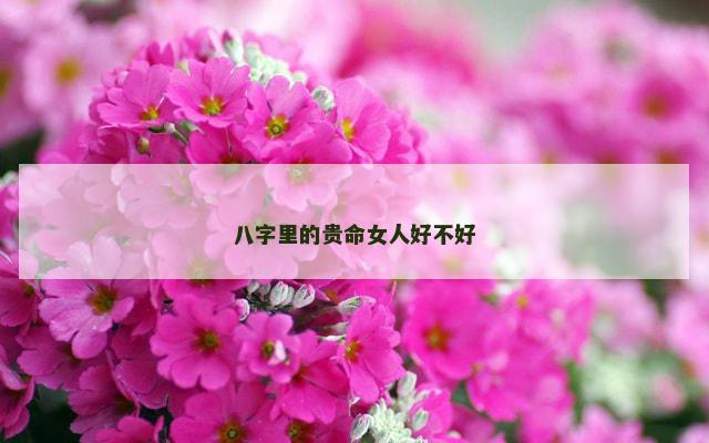 八字里的贵命女人好不好