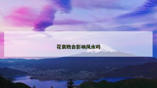 花衰败会影响风水吗