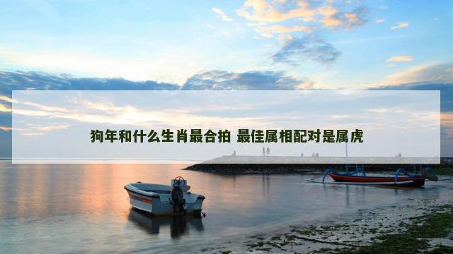 狗年和什么生肖最合拍 最佳属相配对是属虎