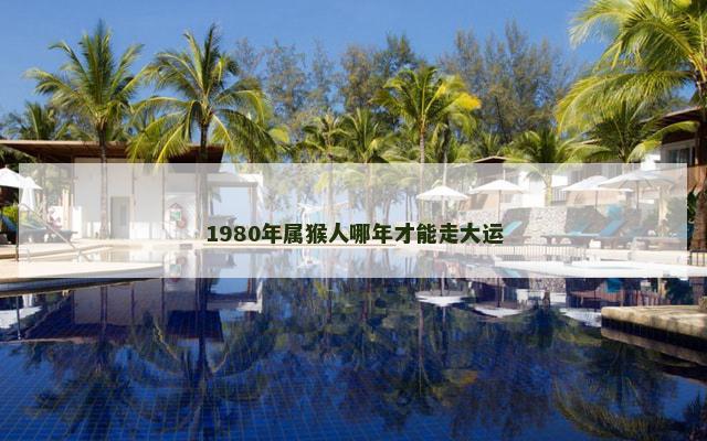 1980年属猴人哪年才能走大运
