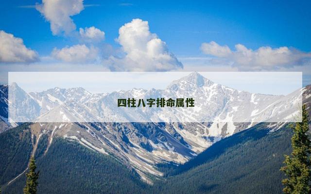 四柱八字排命属性