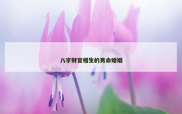八字财官相生的男命婚姻
