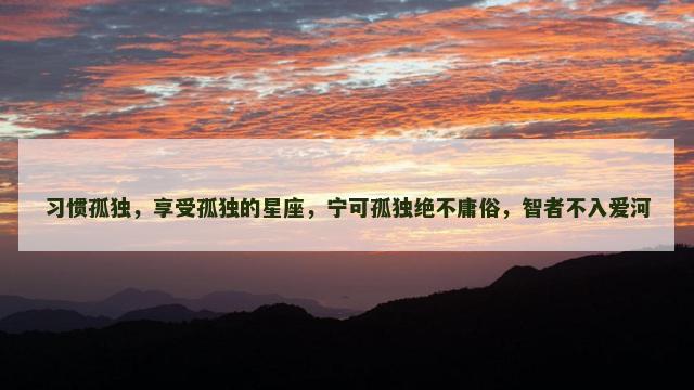 习惯孤独，享受孤独的星座，宁可孤独绝不庸俗，智者不入爱河