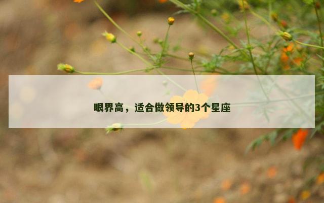 眼界高，适合做领导的3个星座