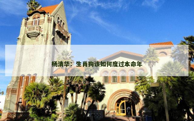 杨清华：生肖狗该如何度过本命年