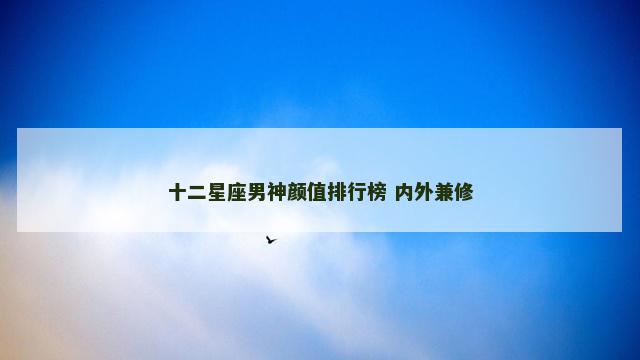 十二星座男神颜值排行榜 内外兼修