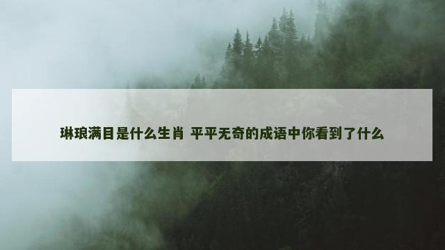 琳琅满目是什么生肖 平平无奇的成语中你看到了什么