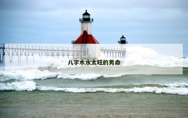 八字木水太旺的男命