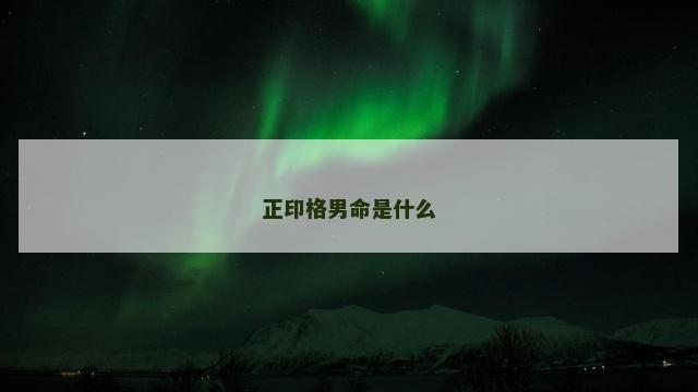 正印格男命是什么
