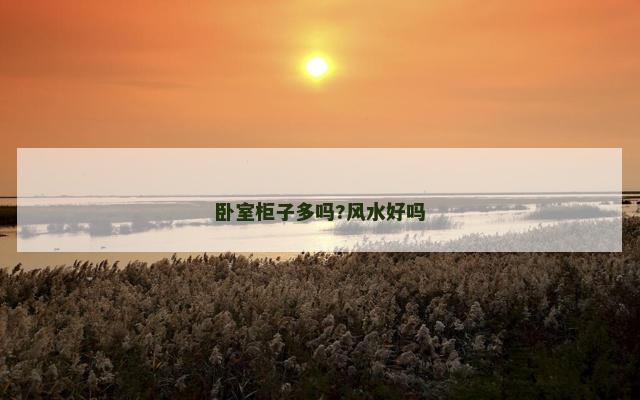 卧室柜子多吗?风水好吗