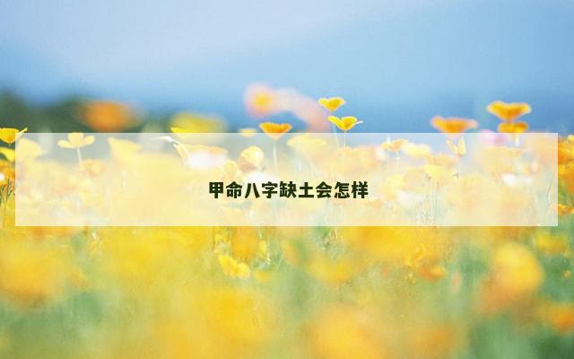 甲命八字缺土会怎样