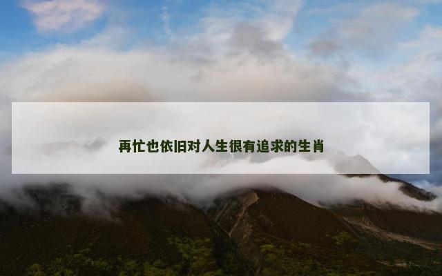 再忙也依旧对人生很有追求的生肖