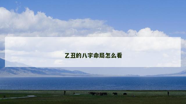 乙丑的八字命局怎么看