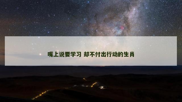 嘴上说要学习 却不付出行动的生肖
