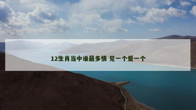 12生肖当中谁最多情 见一个爱一个