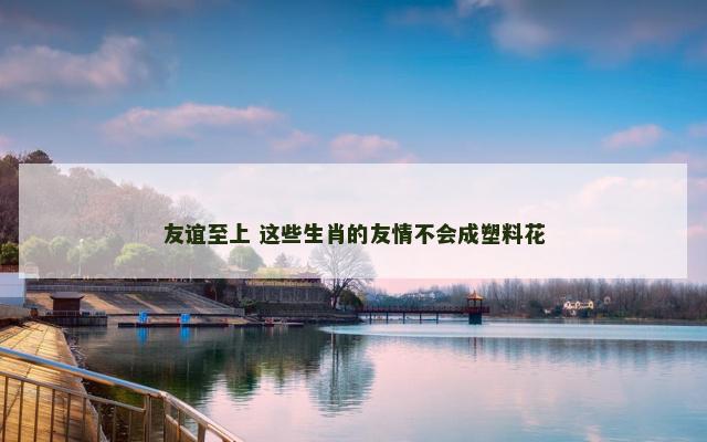 友谊至上 这些生肖的友情不会成塑料花