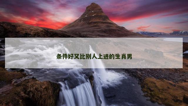条件好又比别人上进的生肖男