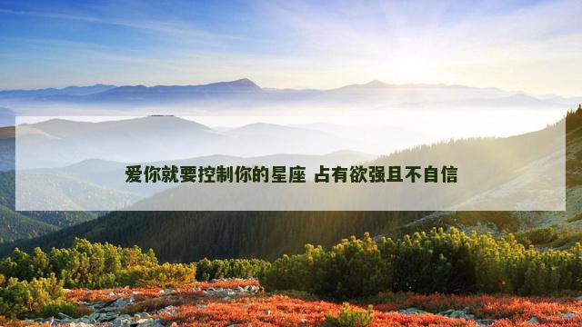 爱你就要控制你的星座 占有欲强且不自信