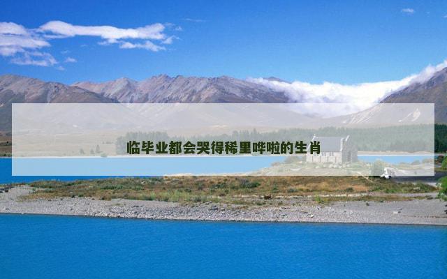 临毕业都会哭得稀里哗啦的生肖